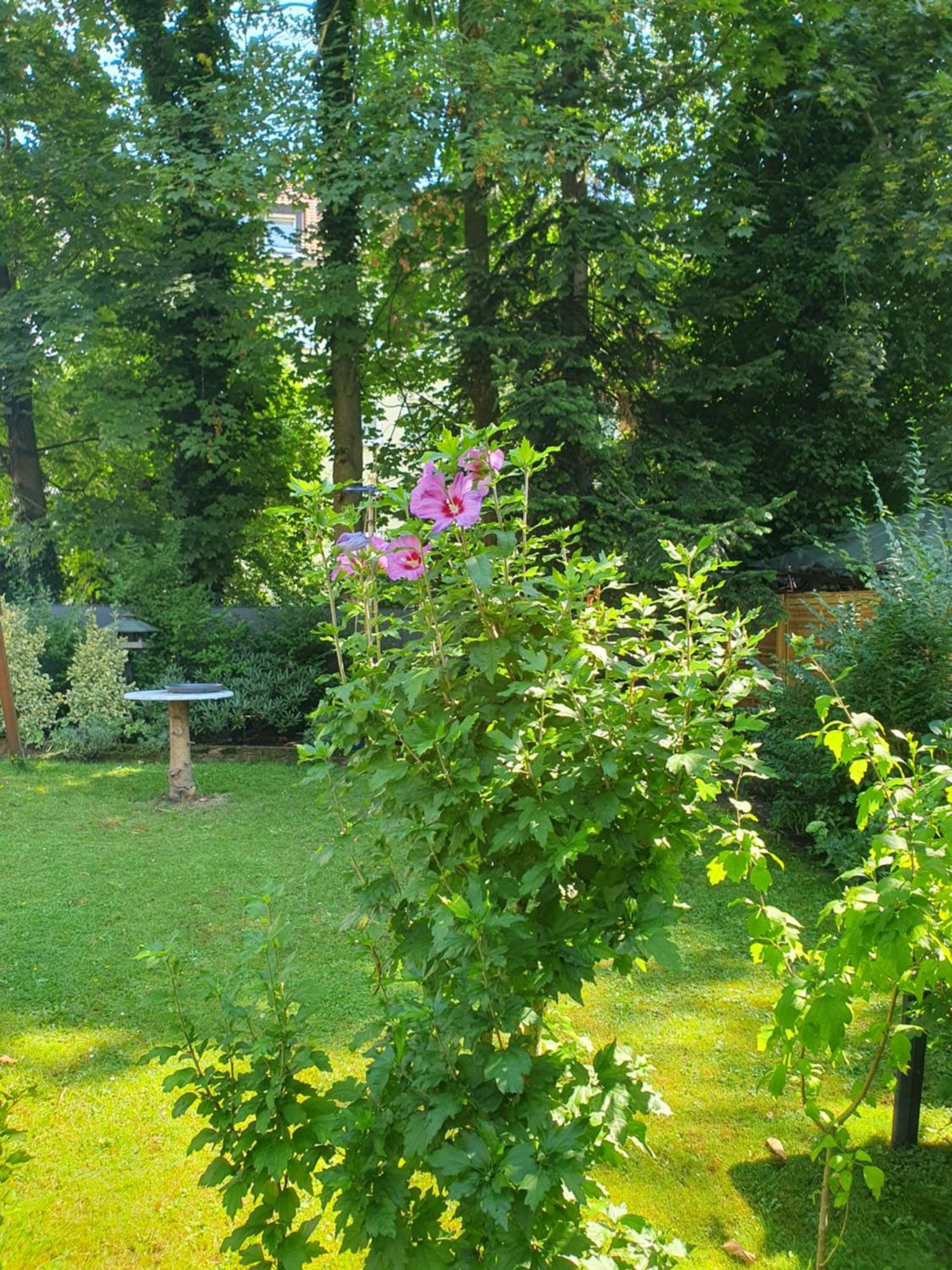Appartement In Gelsenkirchen Zewnętrze zdjęcie